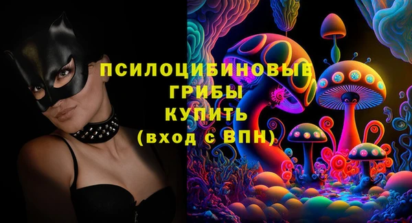 сатива Волоколамск